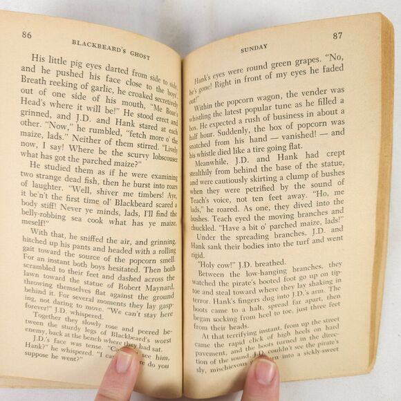 Vintage Fiction Book Lot - Teasure Island - Robin Hood - Blackbeard's Ghost - Picture 13 of 13